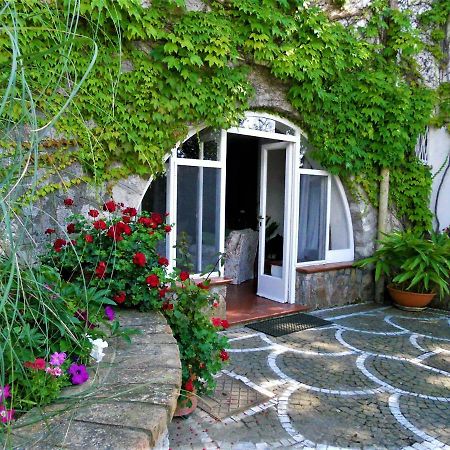 Villa Le Olivine ソレント エクステリア 写真